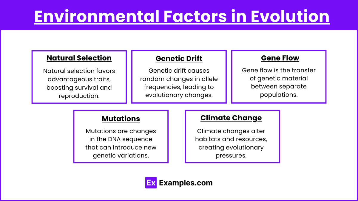 Environmental Factors in Evolution