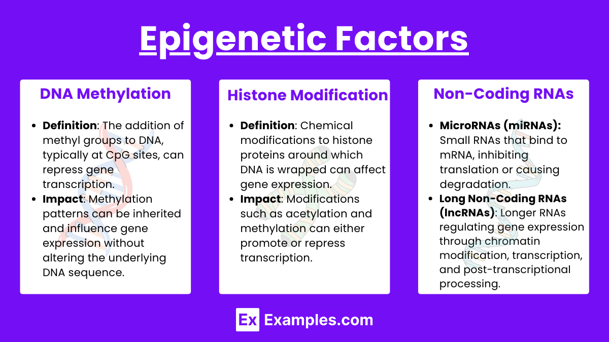 Epigenetic Factors