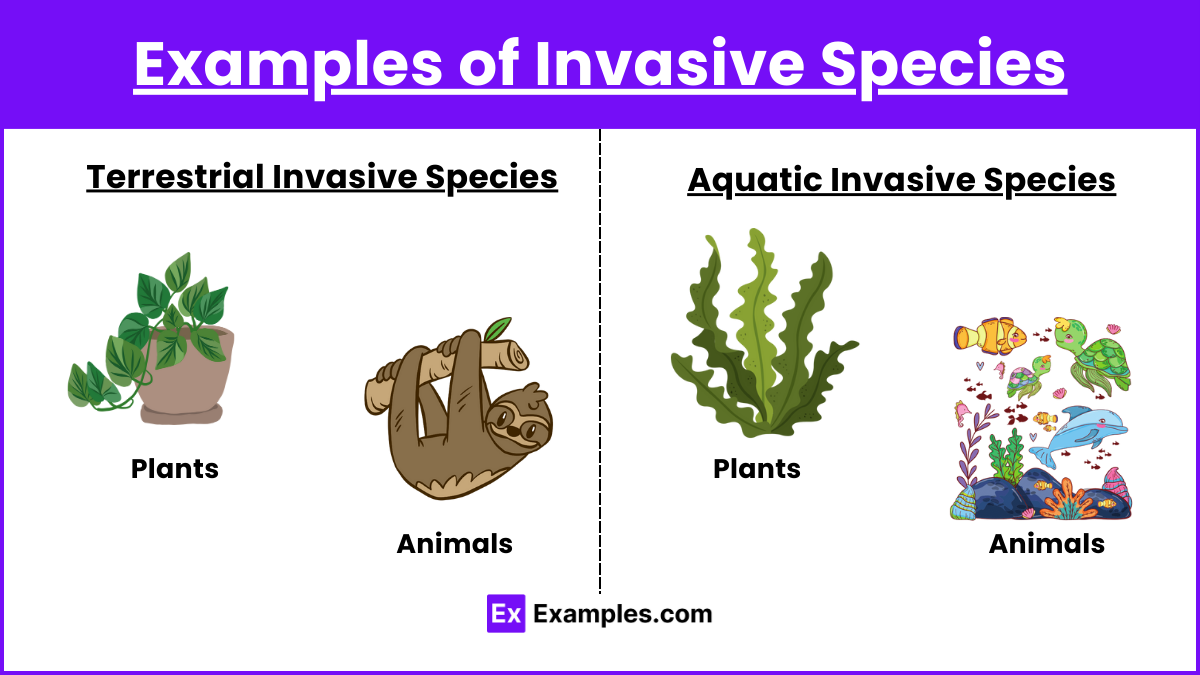 Examples of Invasive Species
