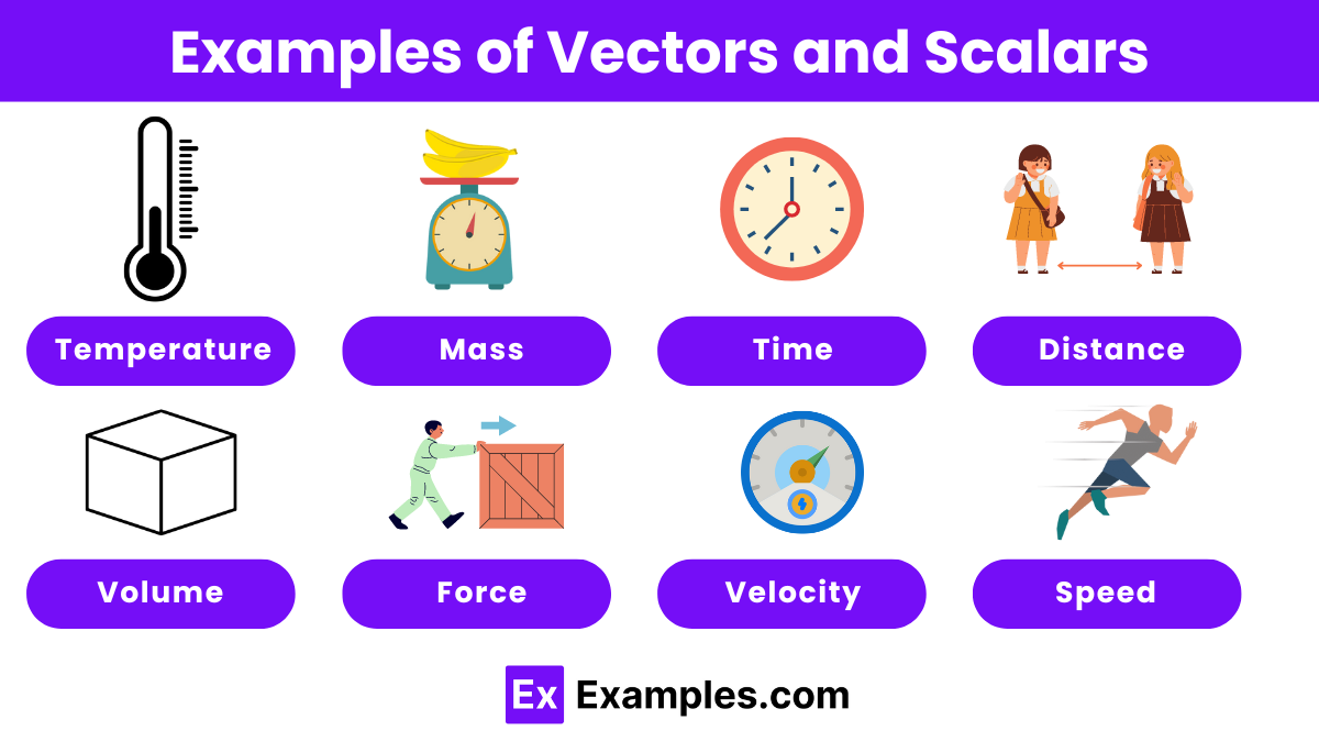 Examples of Vectors and Scalars