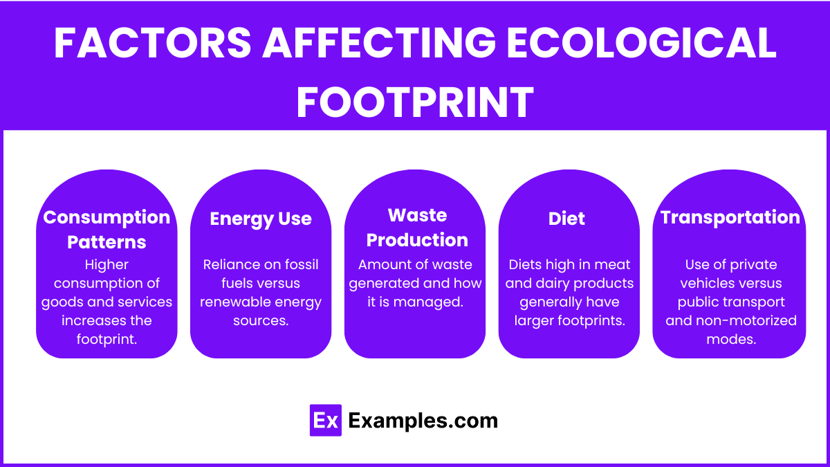 Factors Affecting Ecological Footprint