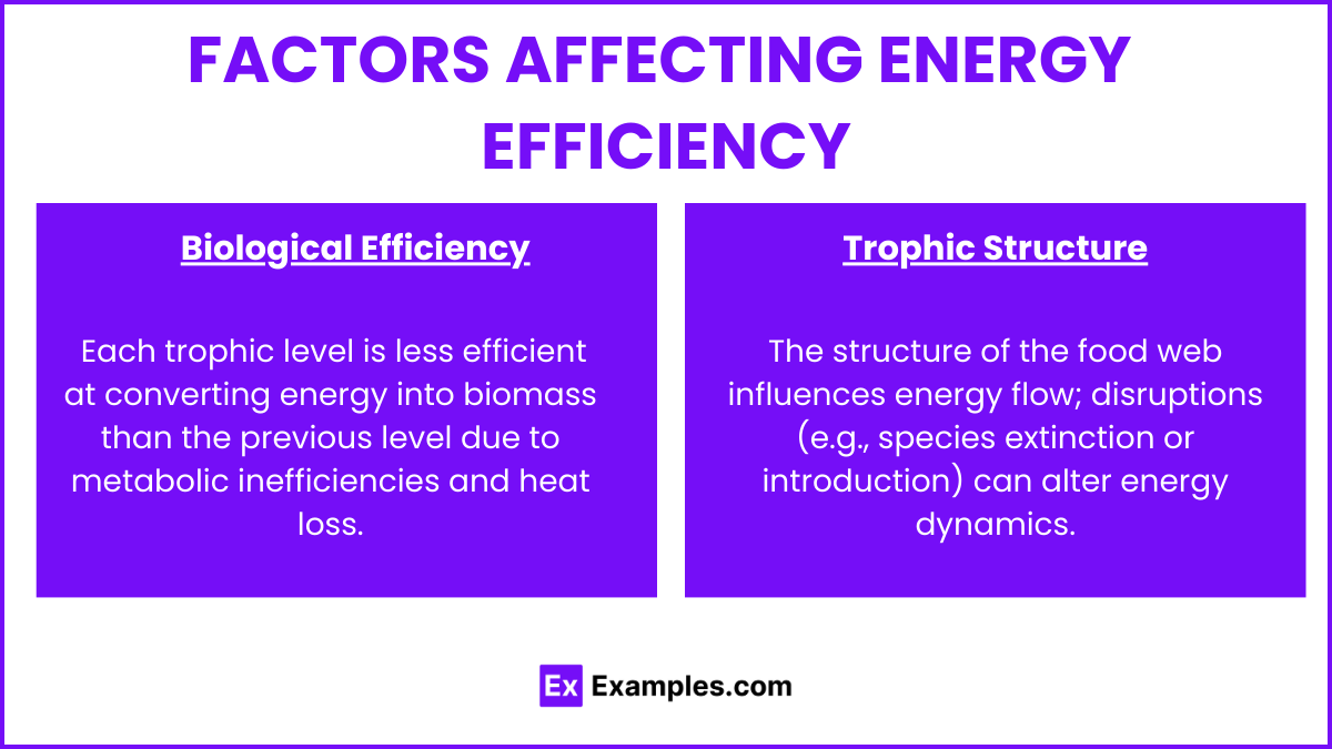 Factors Affecting Energy Efficiency