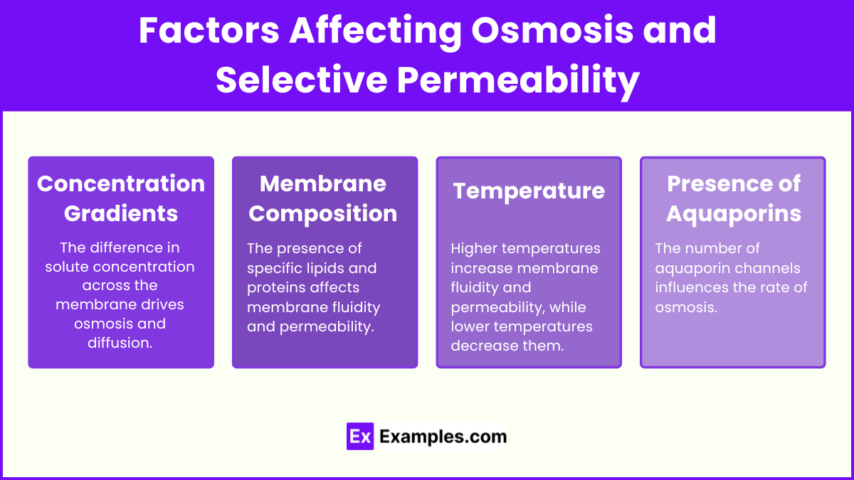 Factors Affecting Osmosis and Selective Permeability
