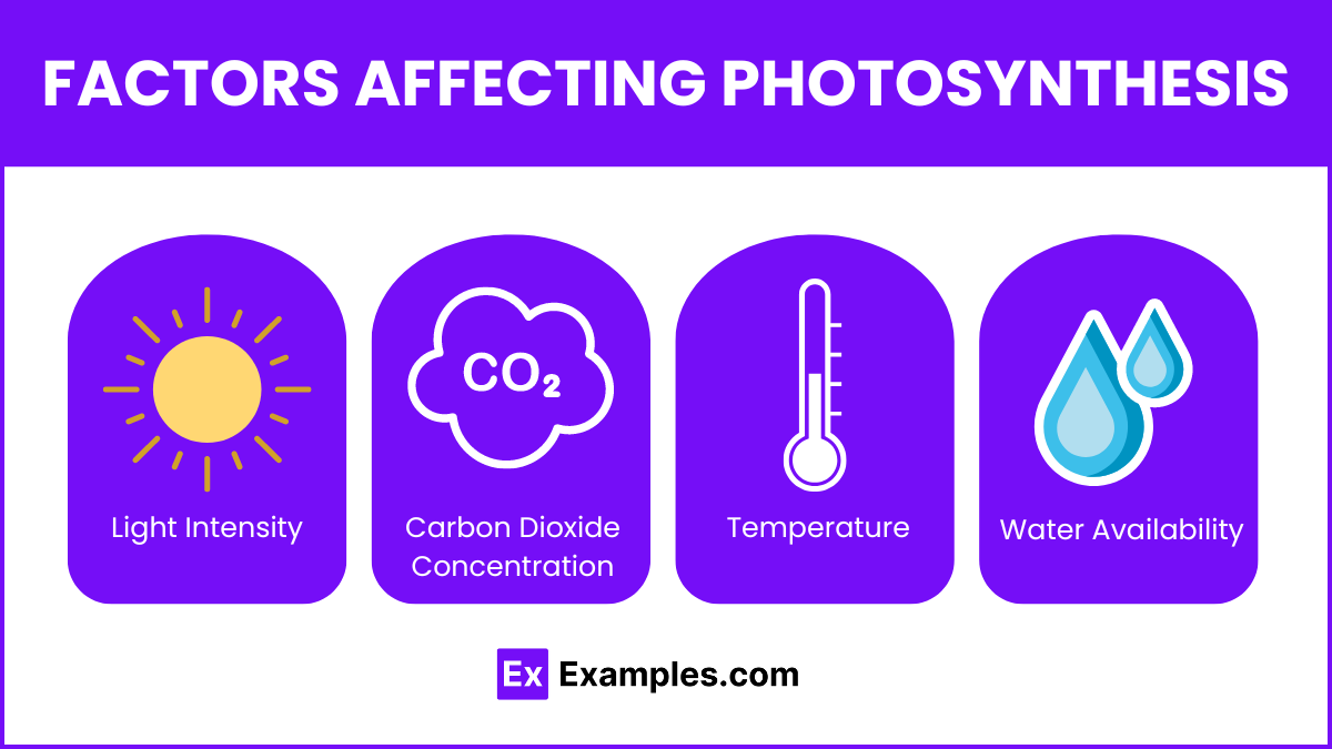 Factors Affecting Photosynthesis