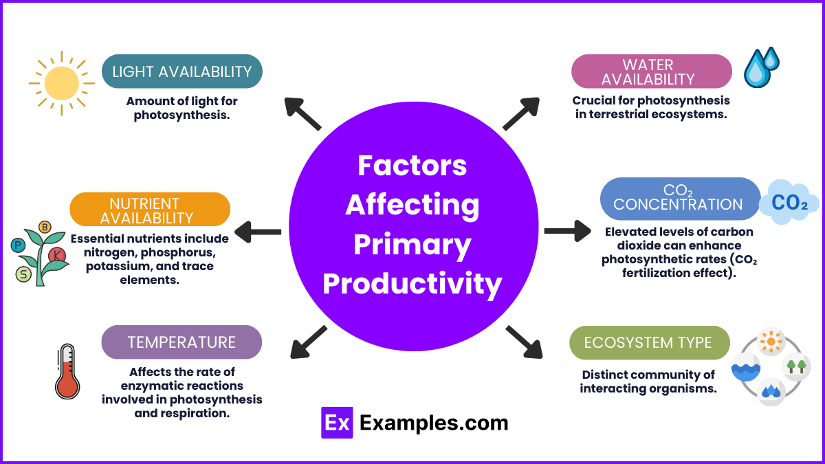 Factors Affecting Primary Productivity (1)