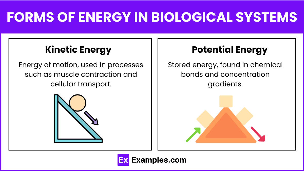 Forms of Energy in Biological Systems