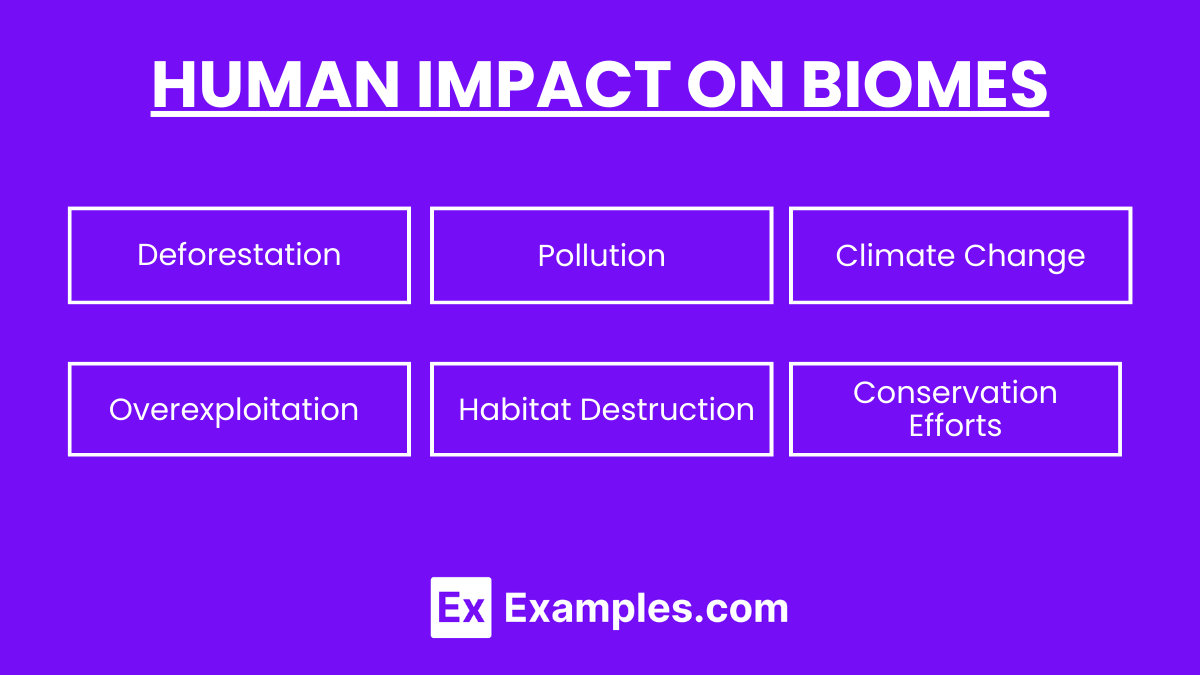 Human Impact on Biomes