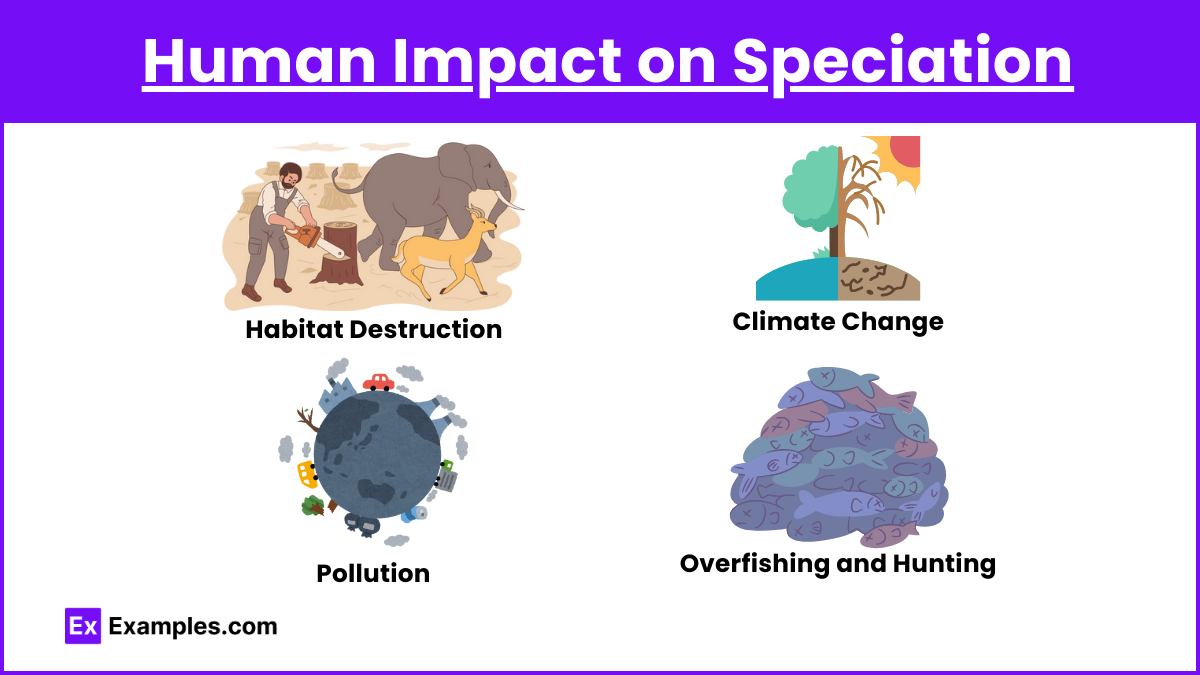 Human Impact on Speciation