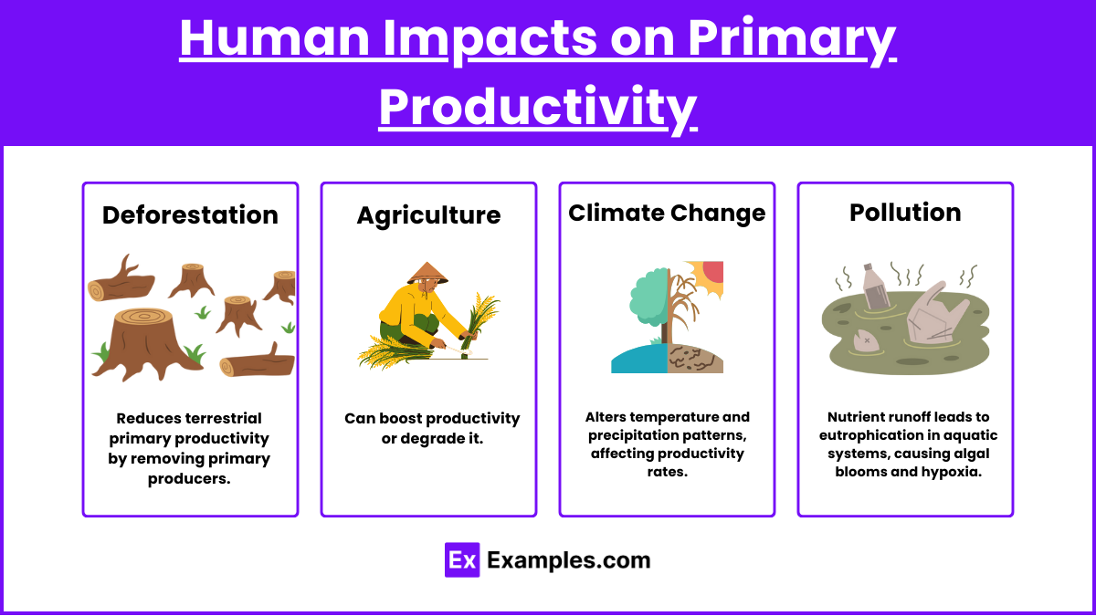Human Impacts on Primary Productivity