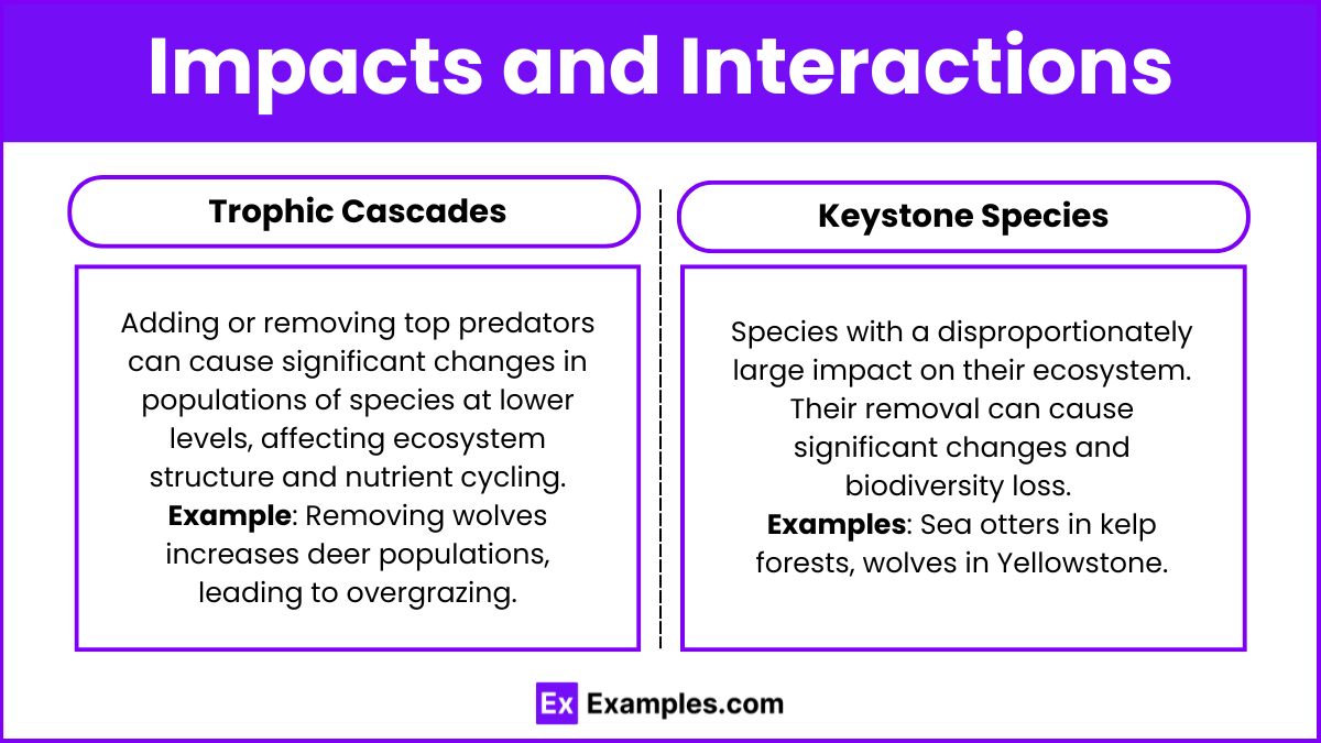 Impacts and Interactions (1)