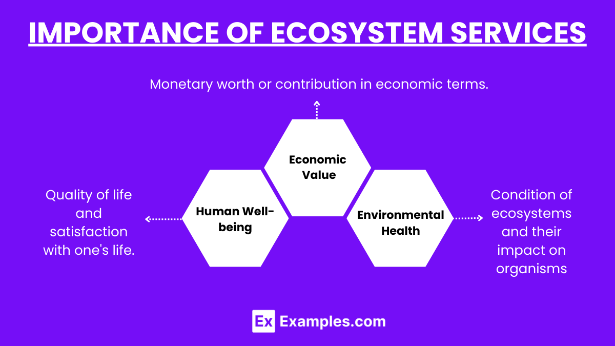 Importance of Ecosystem Services
