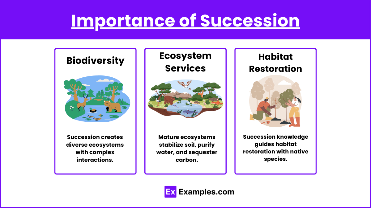 Importance of Succession (1)