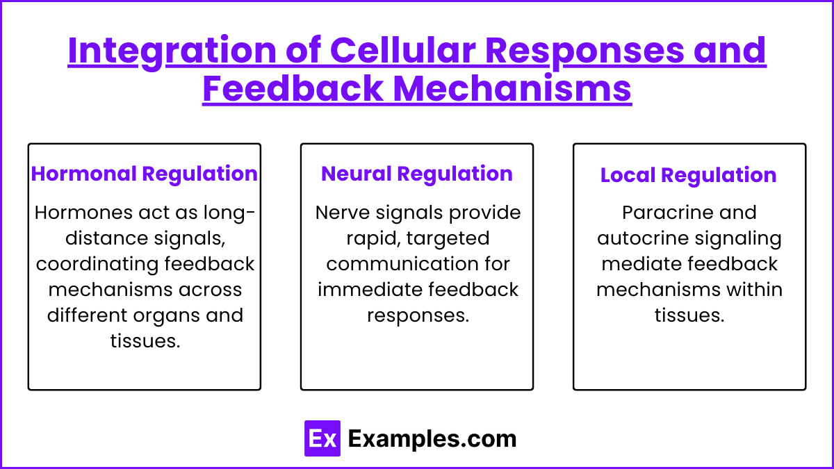 Integration of Cellular Responses and Feedback Mechanisms