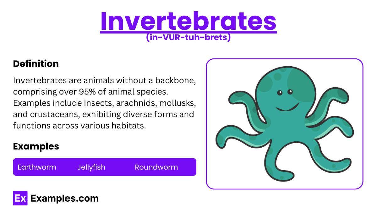 Invertebrates