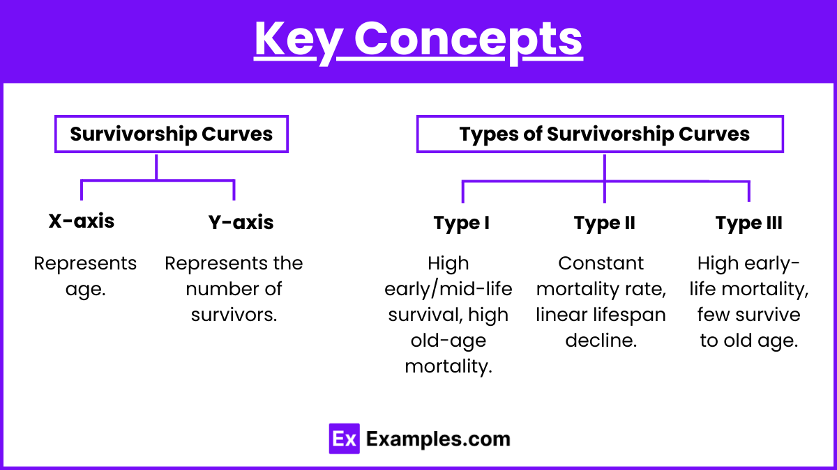 Key Concepts (1)