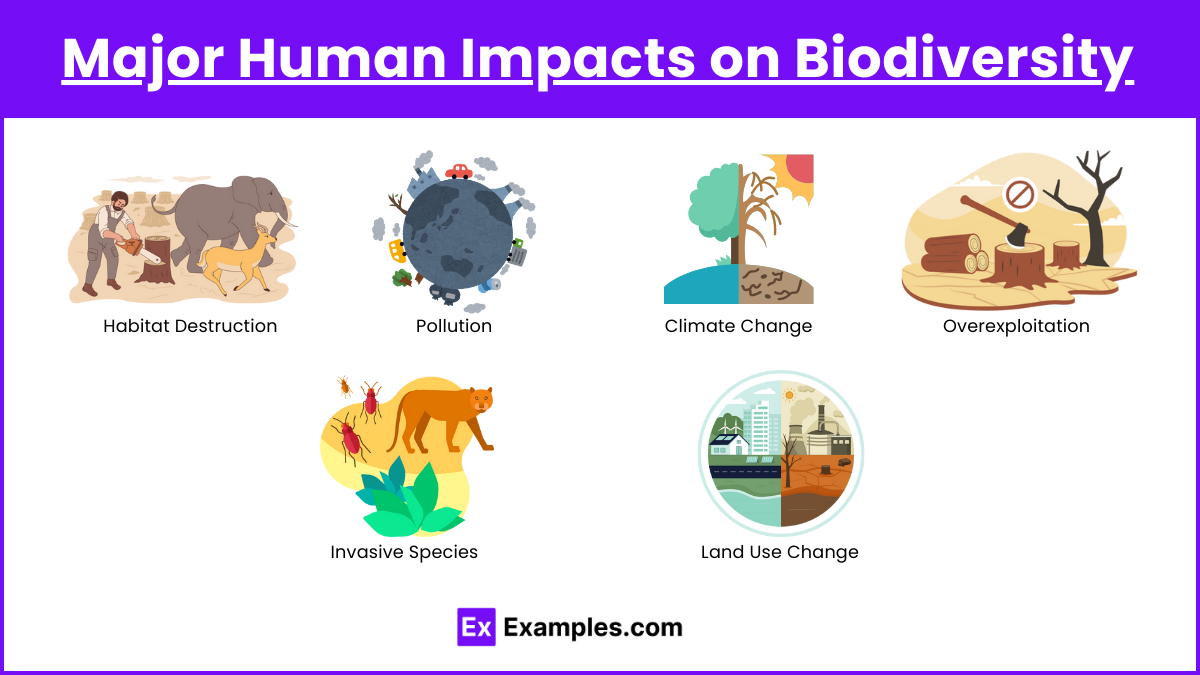 Major Human Impacts on Biodiversity