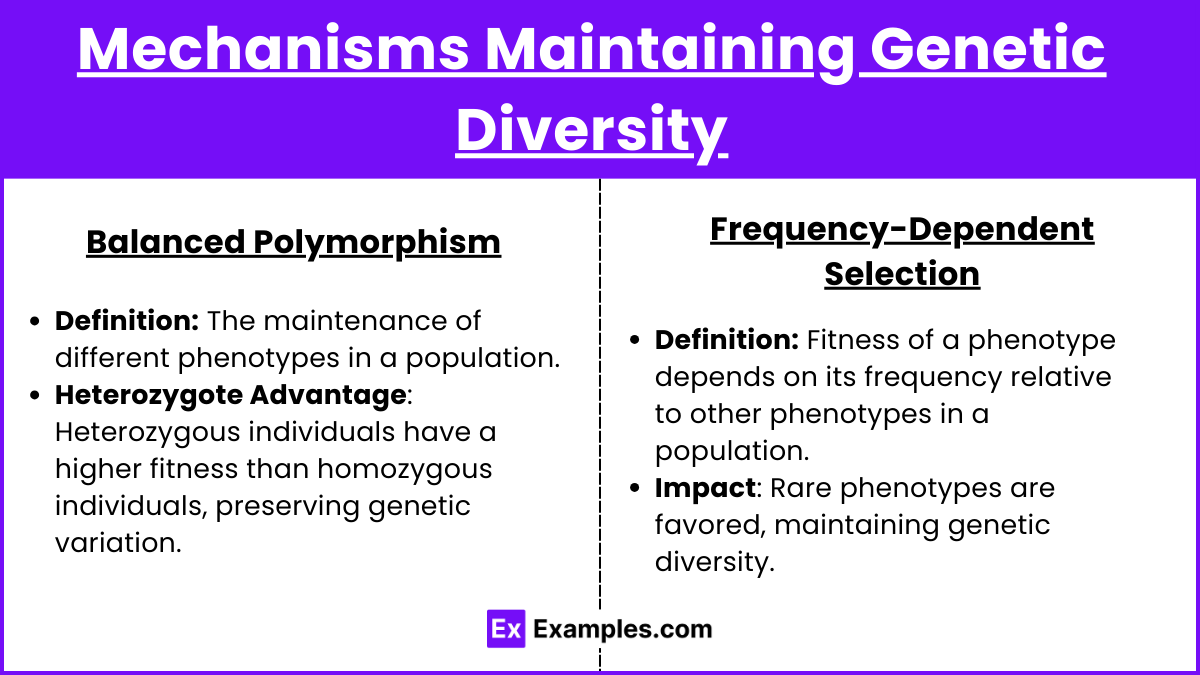 Mechanisms Maintaining Genetic Diversity