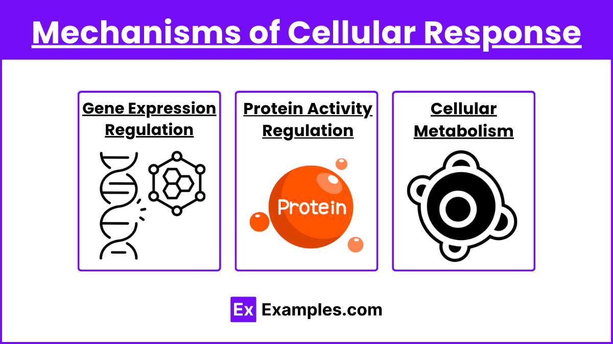 Mechanisms of Cellular Response