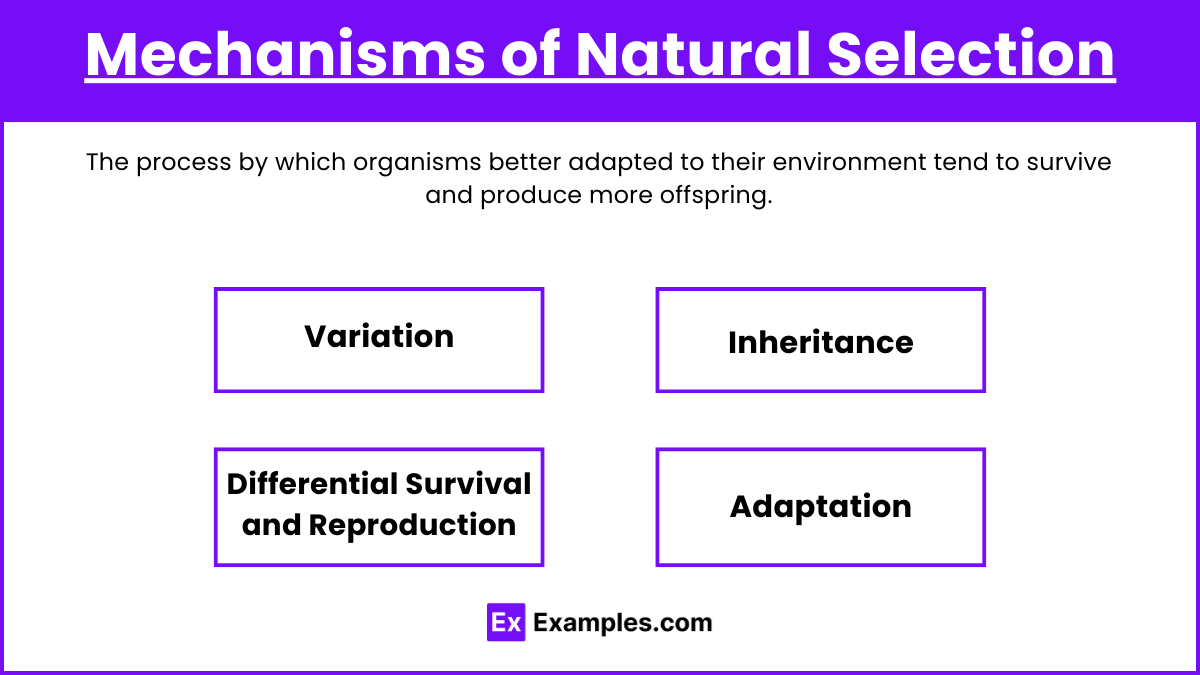 Mechanisms of Natural Selection