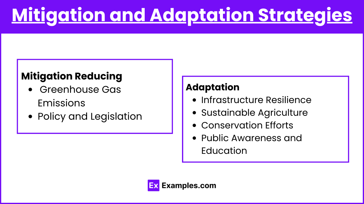 Mitigation and Adaptation Strategies