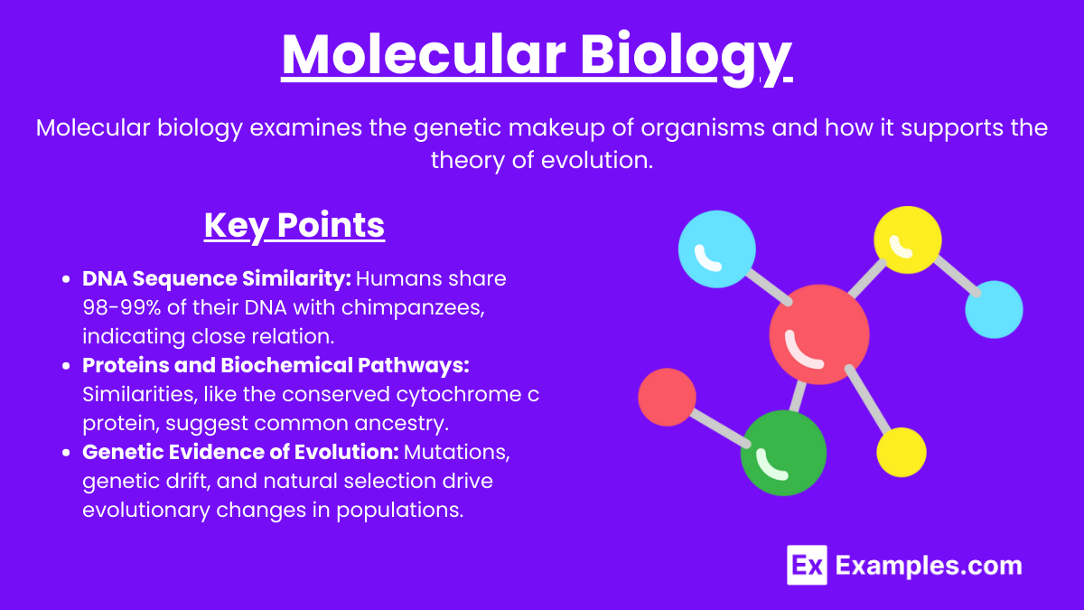 Molecular Biology