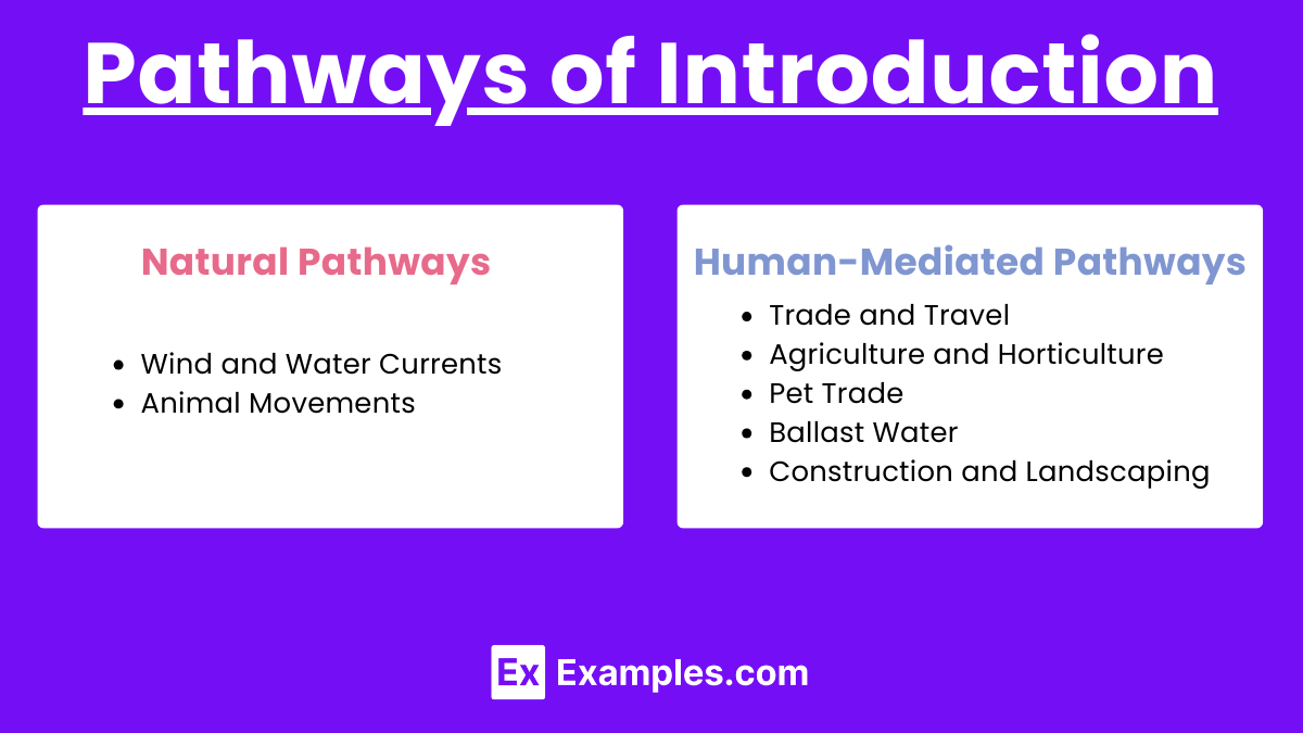 Pathways of Introduction