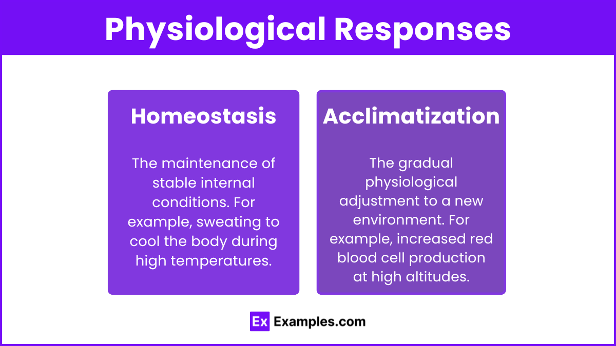 Physiological Responses (1)