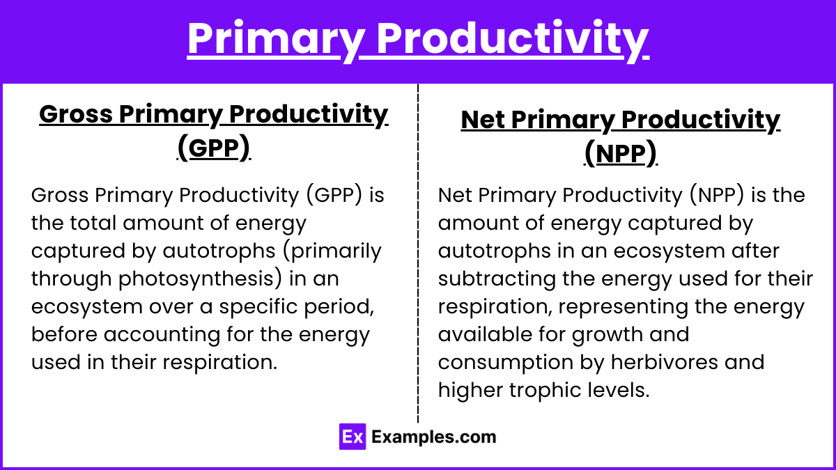 Primary Productivity (1)