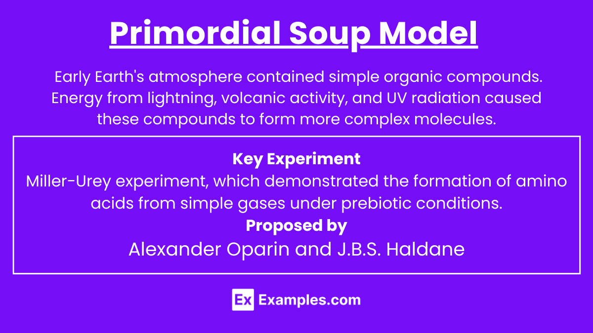 Primordial Soup Model