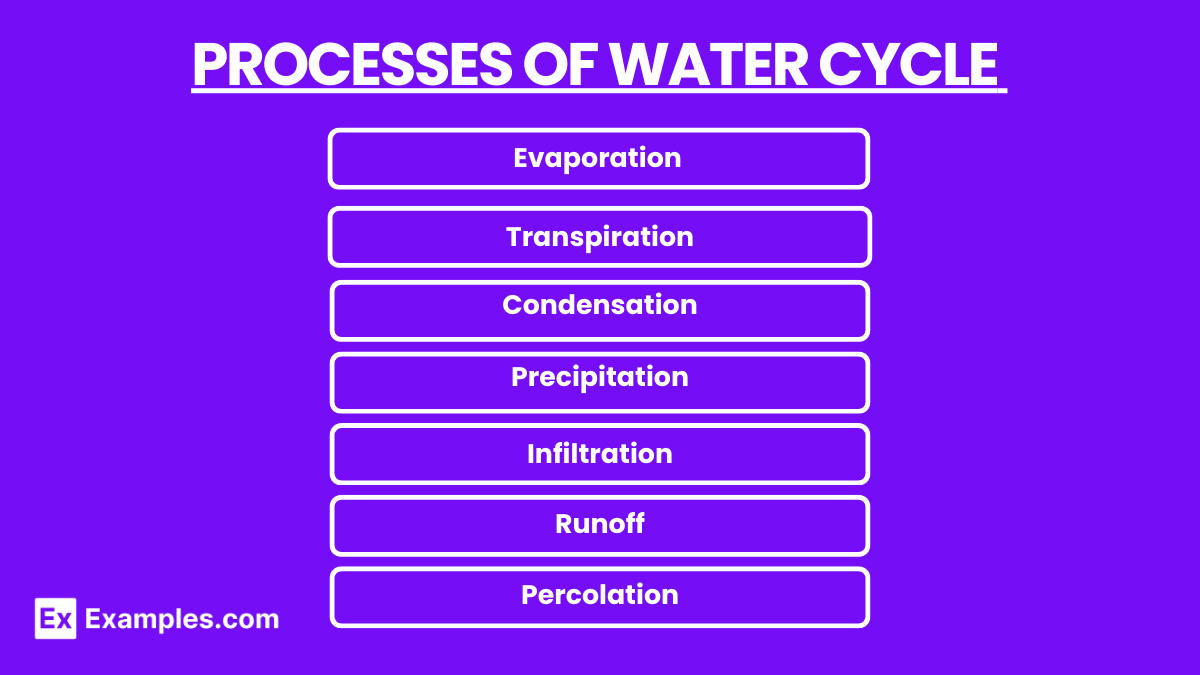 Processes OF Water Cycle