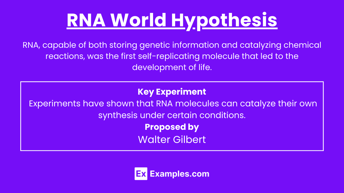 RNA World Hypothesis