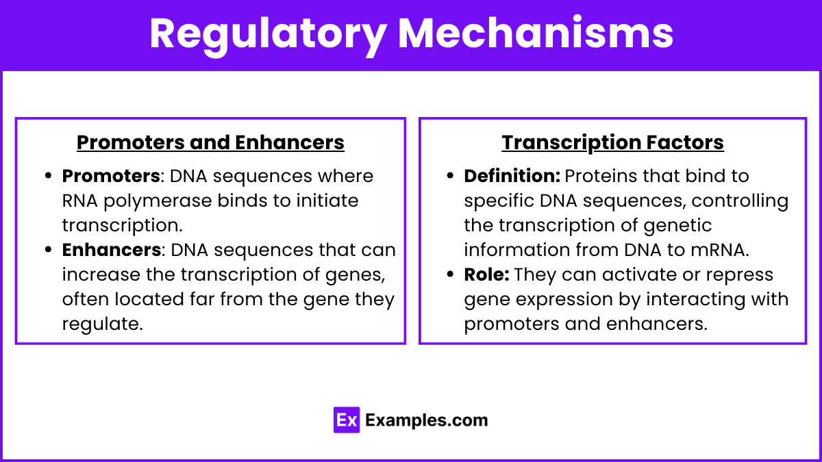 Regulatory Mechanisms (1)