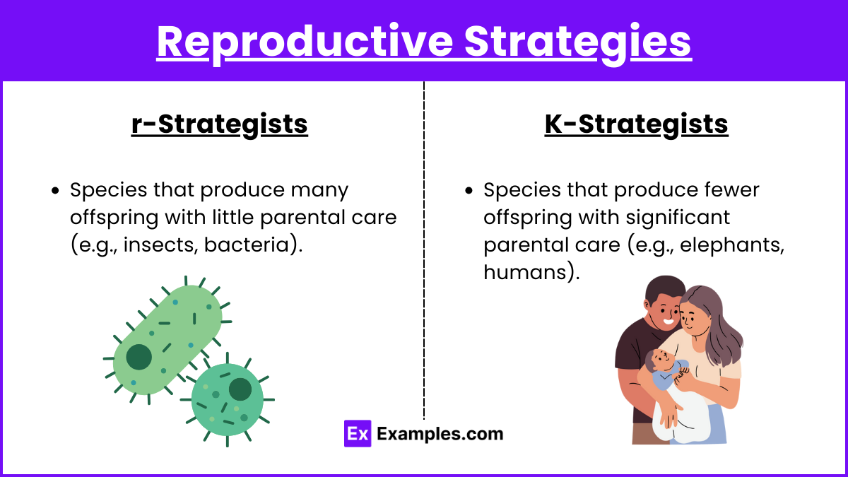 Reproductive Strategies