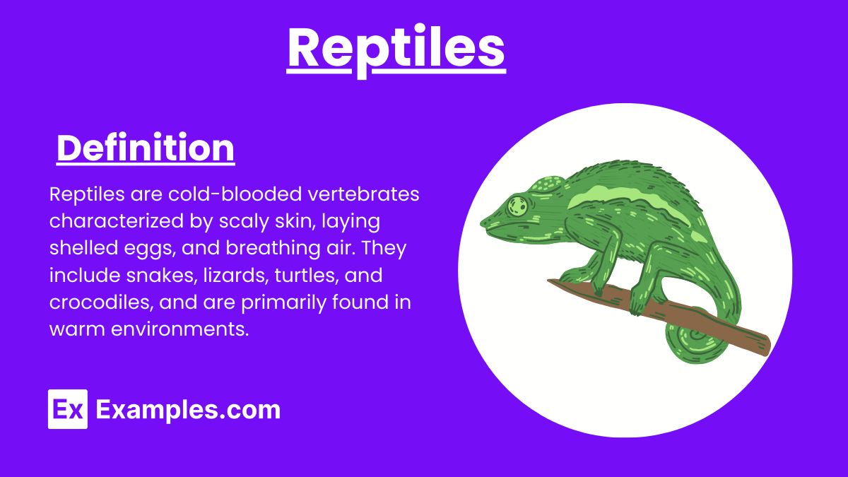 Reptiles - Definition, Examples, Types, Characteristics, Importance