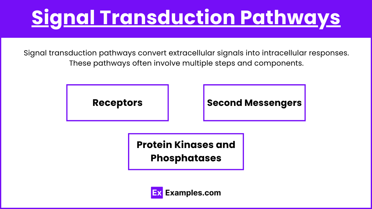 Signal Transduction Pathways