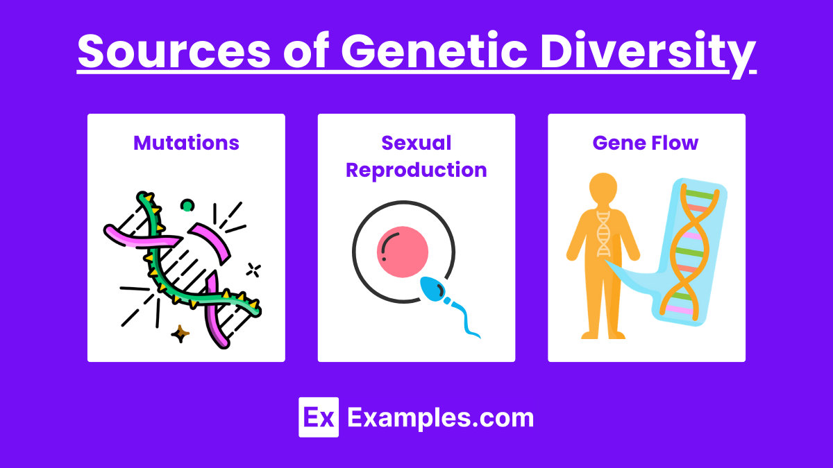 Sources of Genetic Diversity (1)