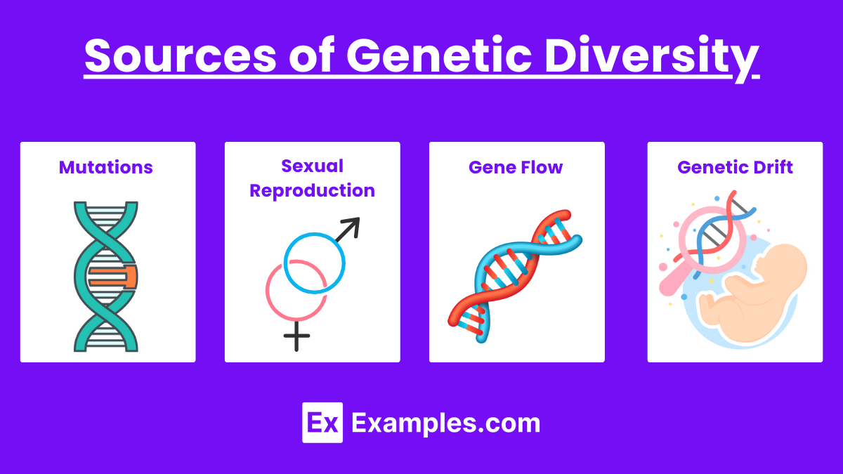 Sources of Genetic Diversity