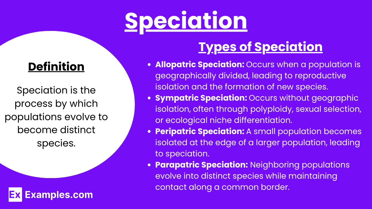 Speciation