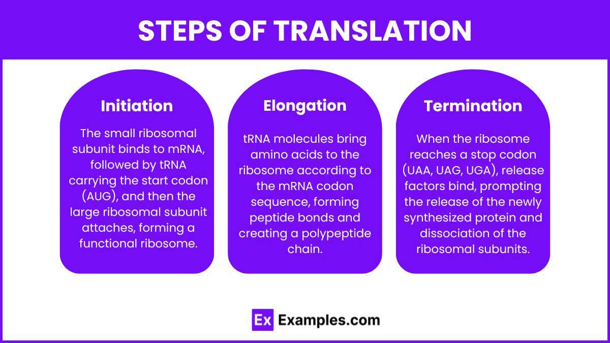 Steps of Translation