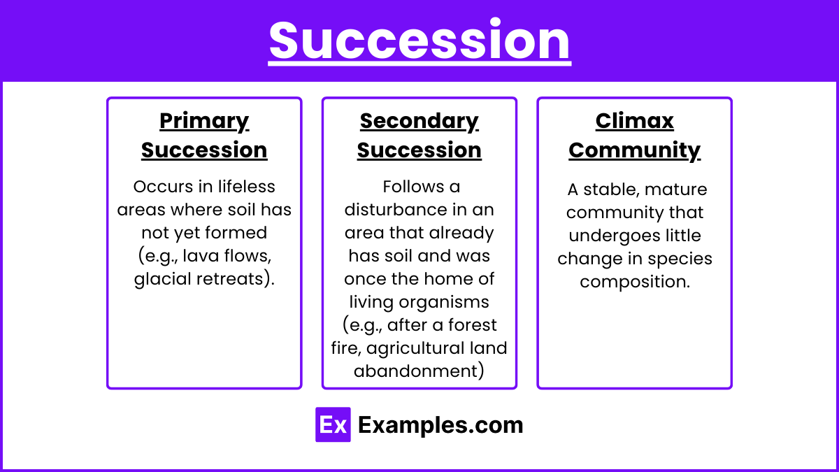 Succession