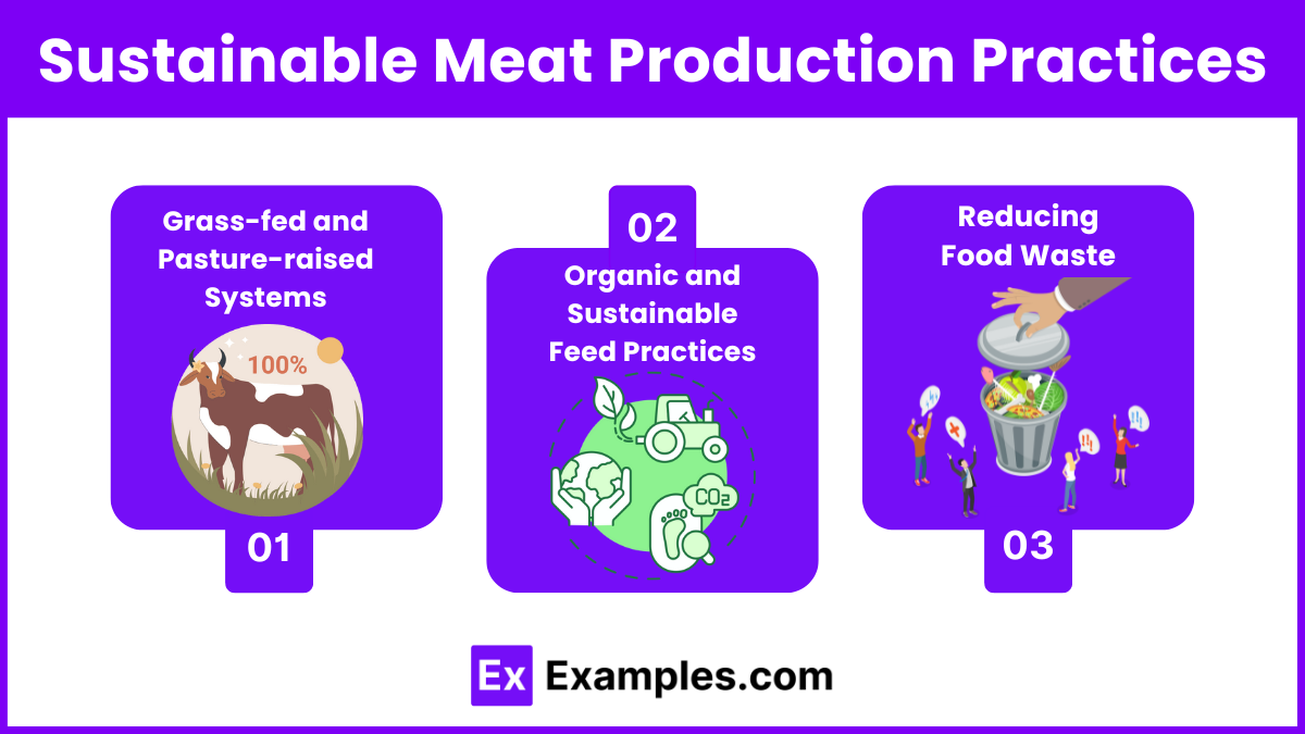 Sustainable Meat Production Practices