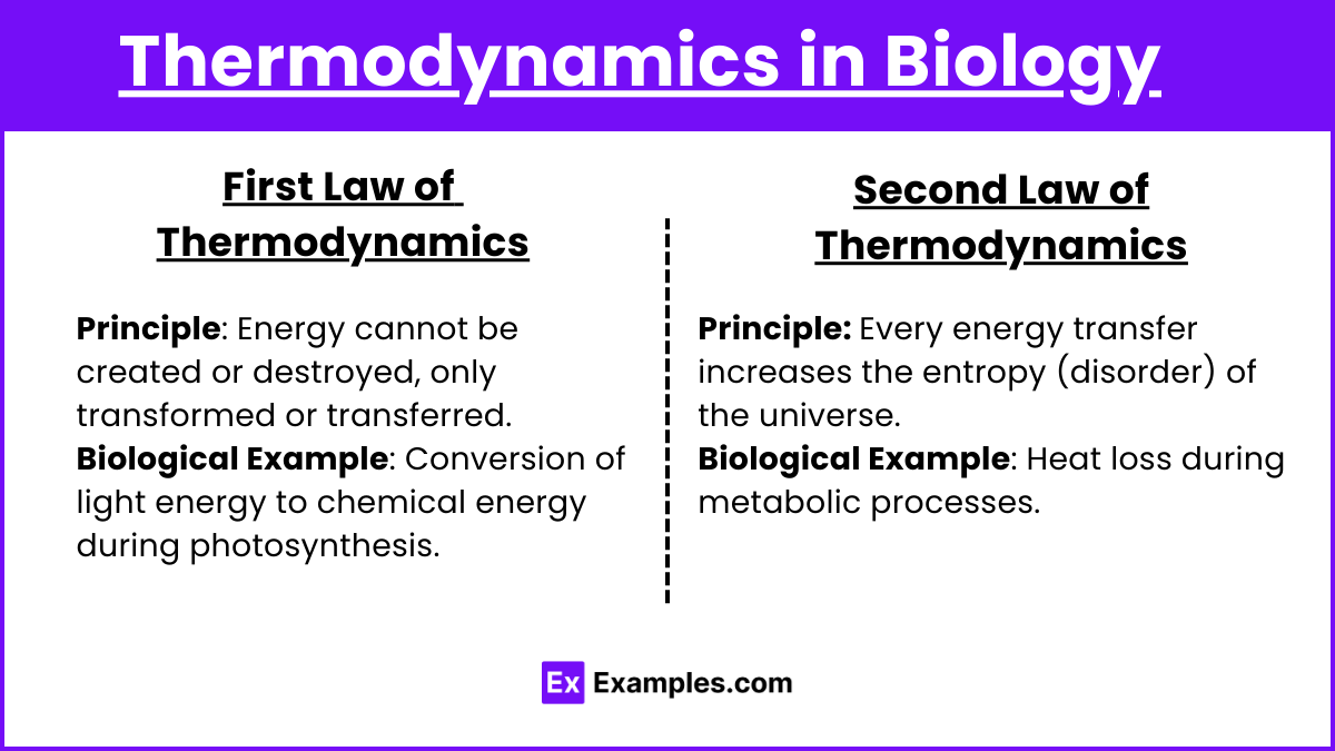 Thermodynamics in Biology