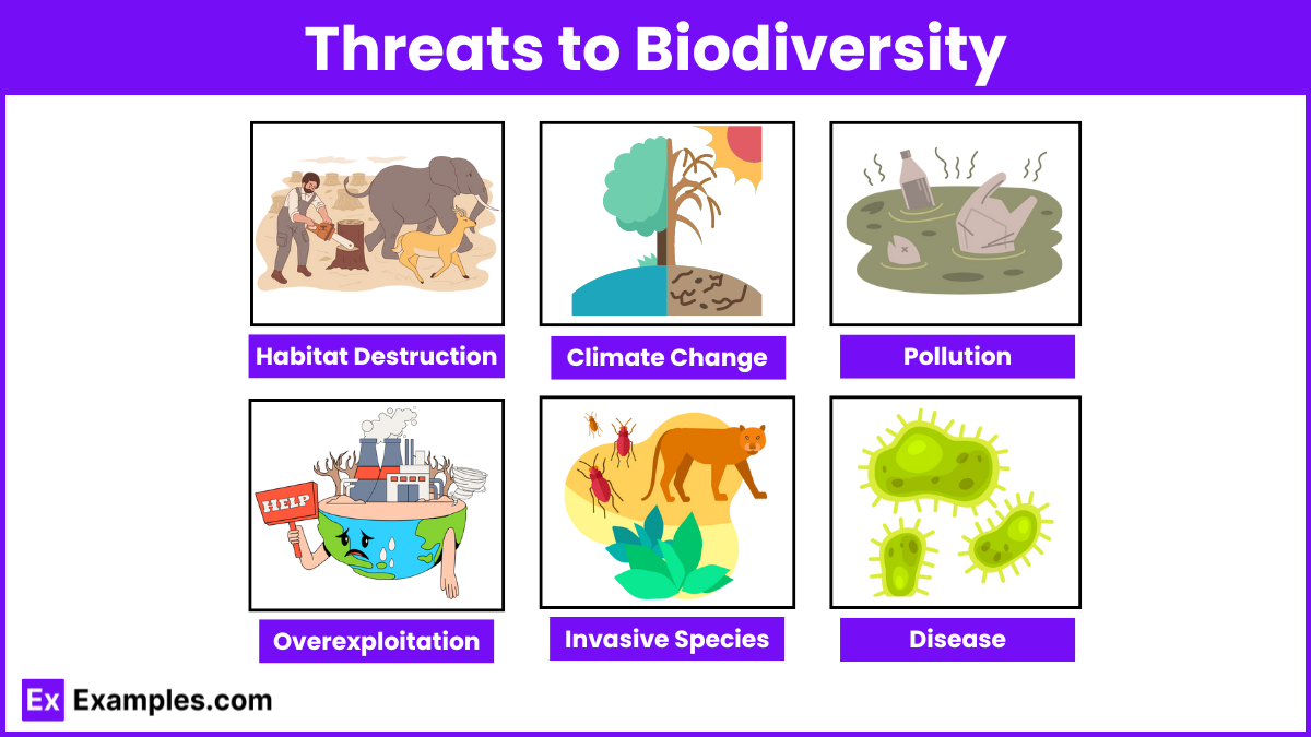 Threats to Biodiversity (1)