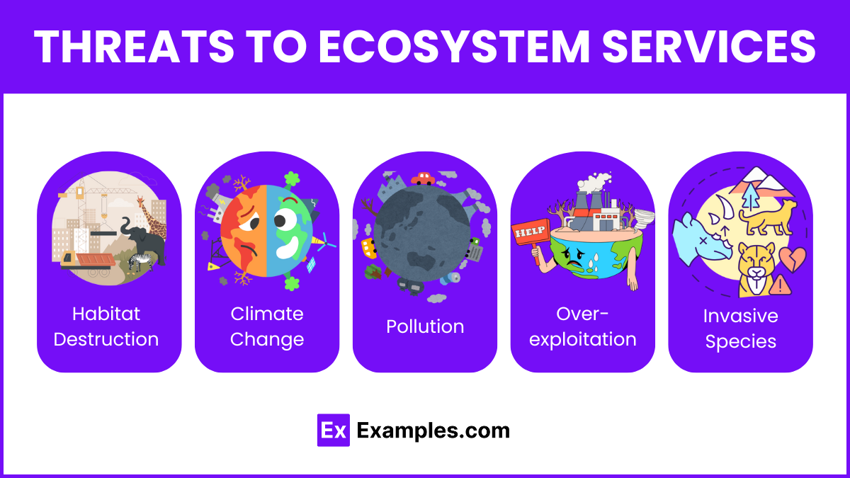 Threats to Ecosystem Services