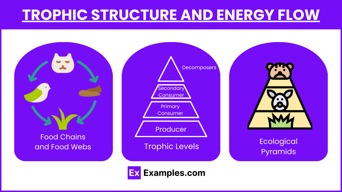 Trophic Structure and Energy Flow