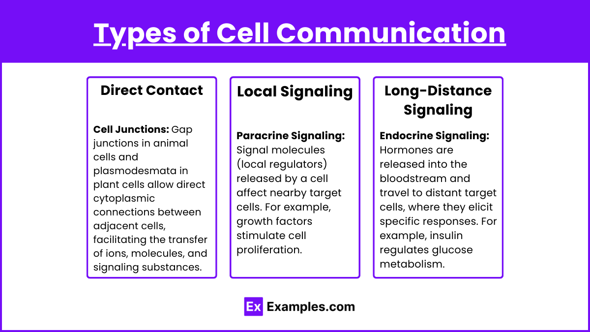 Types of Cell Communication