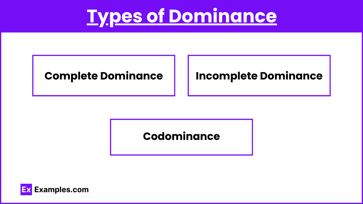 Types of Dominance (1)