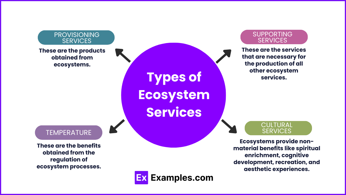Types of Ecosystem Services