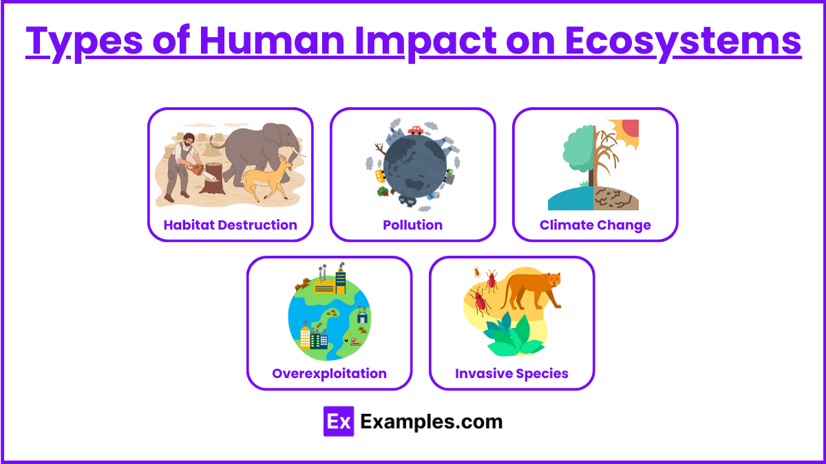 Types of Human Impact on Ecosystems