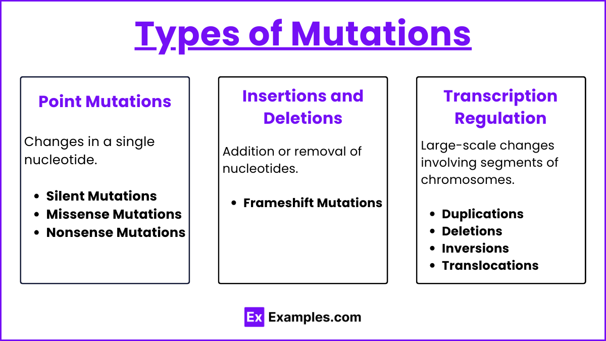 Types of Mutations